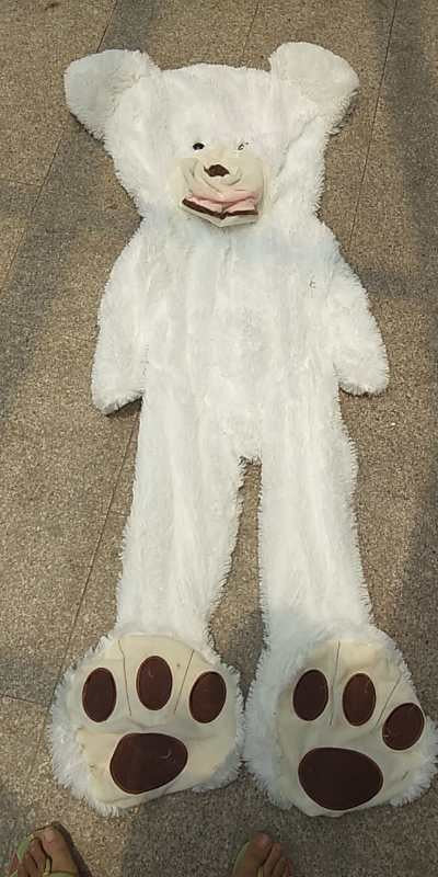 Teddy Bear